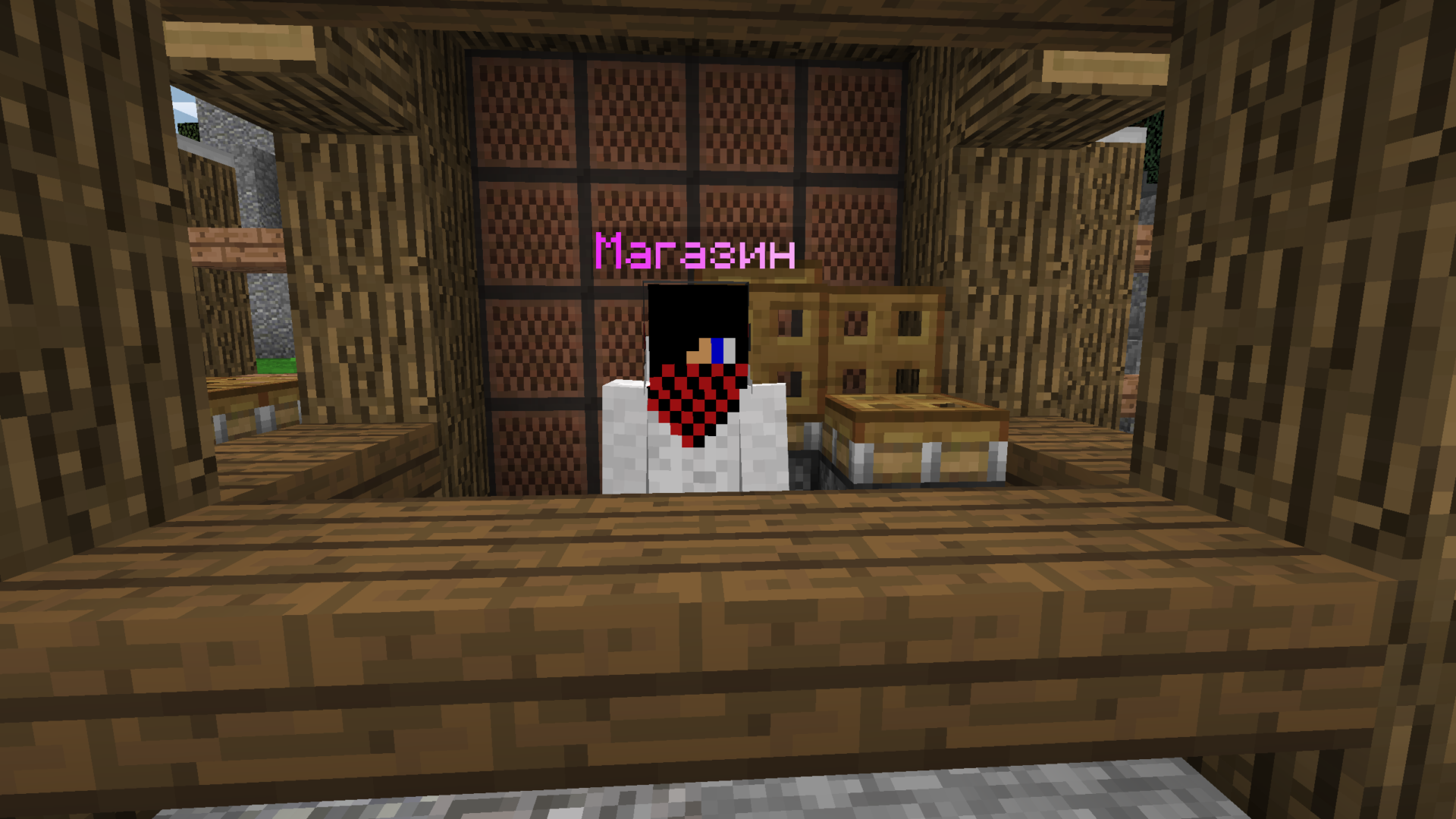 Скриншот #5 с сервера WenterCraft