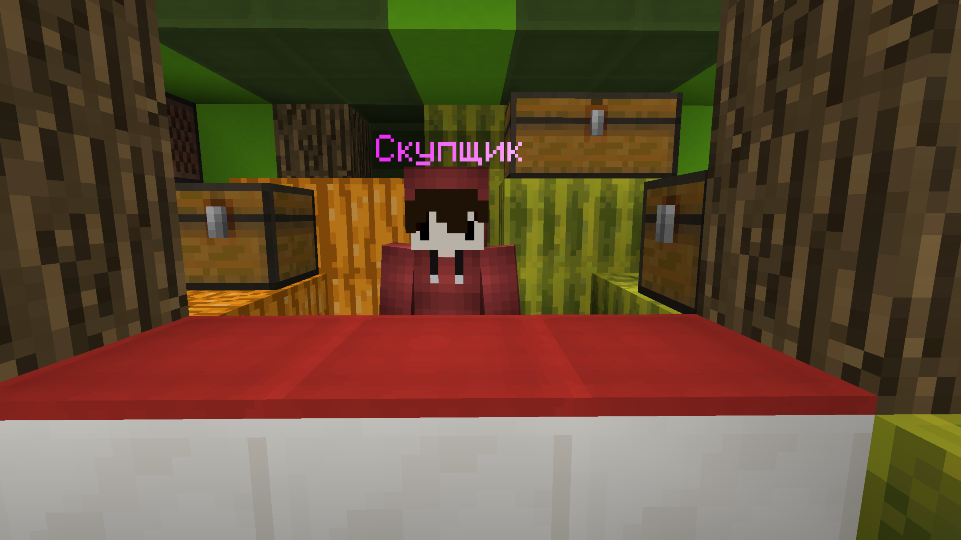 Скриншот #6 с сервера WenterCraft