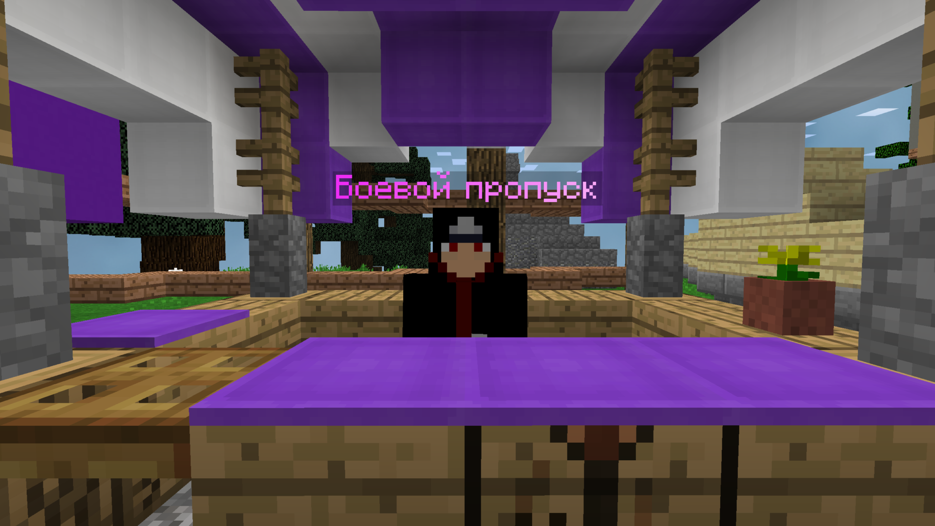 Скриншот #2 с сервера WenterCraft
