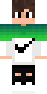 Скин Скин по нику Noble_ v5