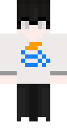 Скин Скин DeveloperJava