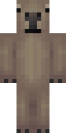 Скин Скин gexek