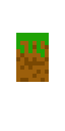 Скин Скин по нику DR_games