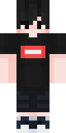 Скин Скин Stradivarus v95