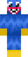 Скин Скин игрока Hollu_YT v4