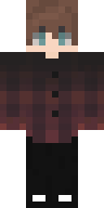 Скин Скин игрока solomka008 v4
