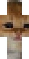 Скин Скин игрока DavidsNuts