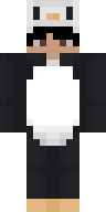 Скин Скин по нику penguin2256