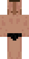 Скин Скин игрока FTL_Zirk