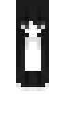 Скин Скин по нику x_Polishka_x v27