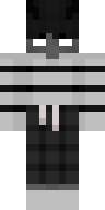 Скин Скин ActumAjuntNeAgas v26