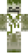 Скин Скин по нику rayze13