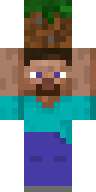Скин Скин по нику crepebloxYT v4