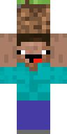 Скин игрока markddd