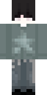 Скин Скин okwesterr v7