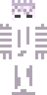 Скин Скин игрока ArionYT v25