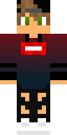Скин Скин по нику RaidSurge v44