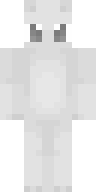 Скин Скин игрока Mr_NIook
