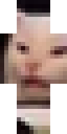 Скин Скин по нику buuulkaaa