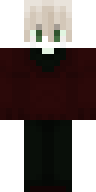 Скин Скин ActumAjuntNeAgas v24