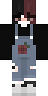 Скин Скин Zikis v4