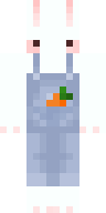 Скин Скин игрока Luggagebon
