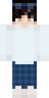 Скин Скин игрока Lapy_Fl v9