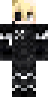 Скин Скин maestrx v4